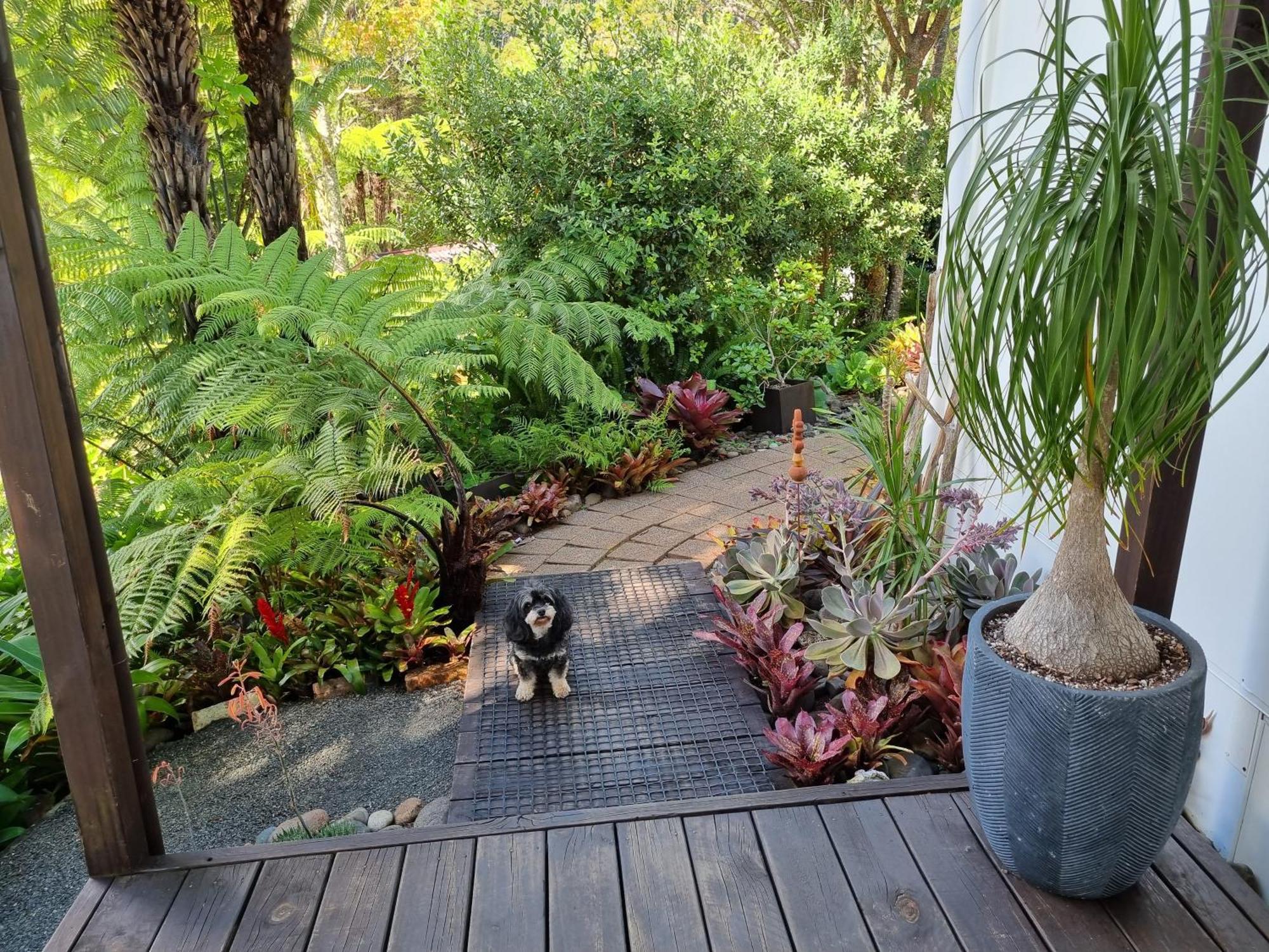 Coromandel Eco Sanctuary Exterior photo