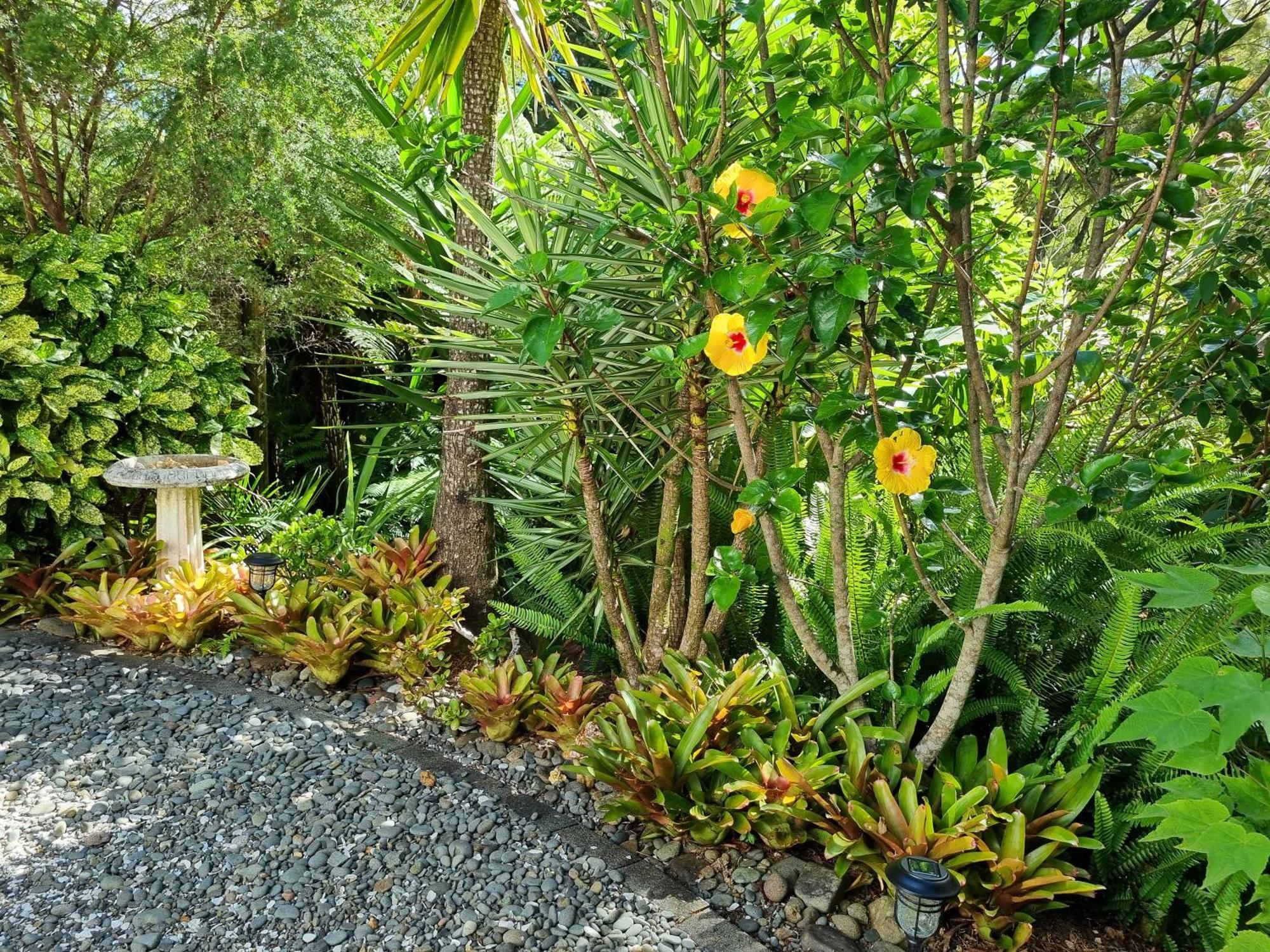 Coromandel Eco Sanctuary Exterior photo